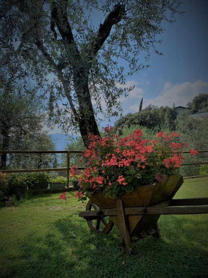 Appartamento Camelia Malcesine Zewnętrze zdjęcie